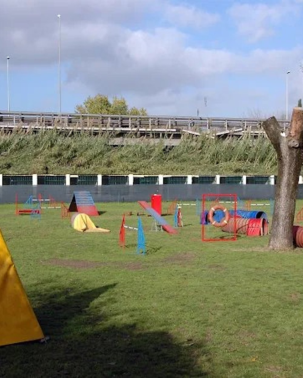 Campo di agility attrezzato della scuola