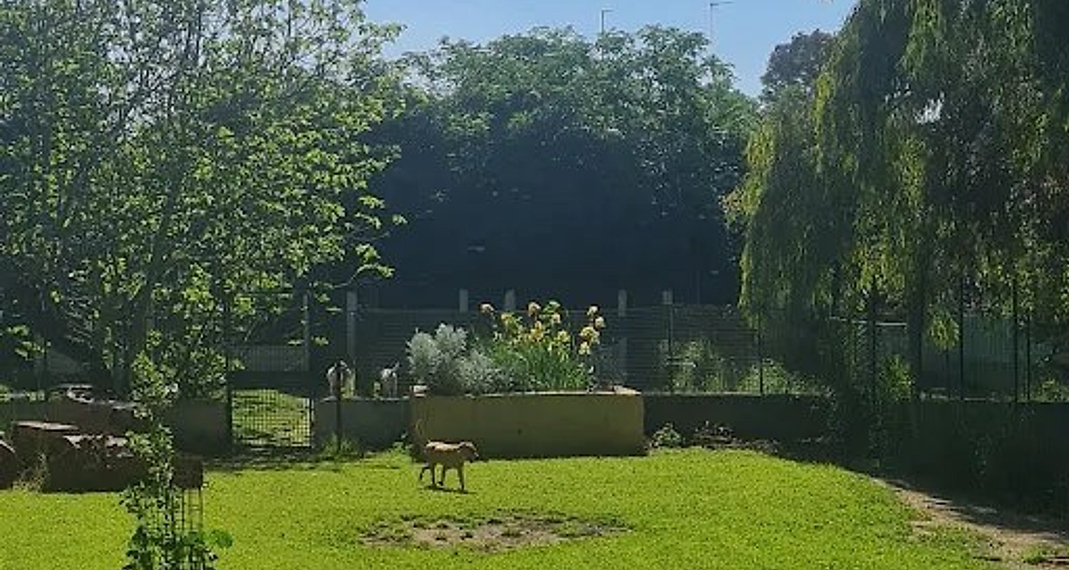 Le aree verdi della struttura
